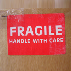 Removals Company Paignton