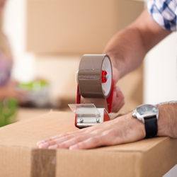 Removals Company Paignton