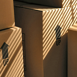 Removals Company Paignton