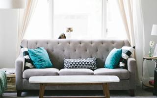 Removals Torbay